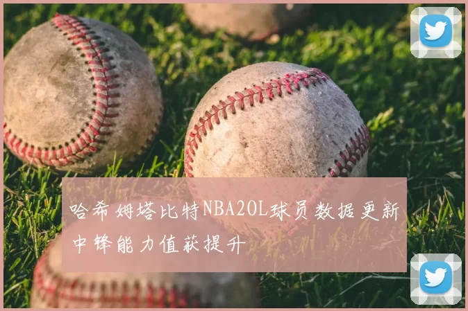 哈希姆塔比特NBA2OL球员数据更新中锋能力值获提升