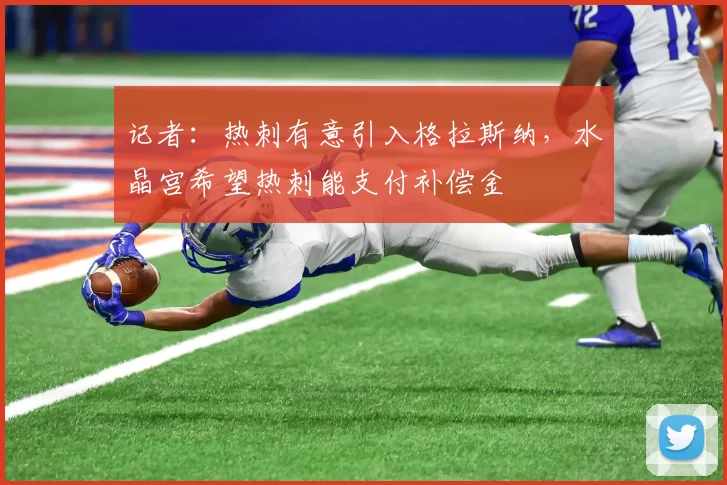 记者：热刺有意引入格拉斯纳，水晶宫希望热刺能支付补偿金