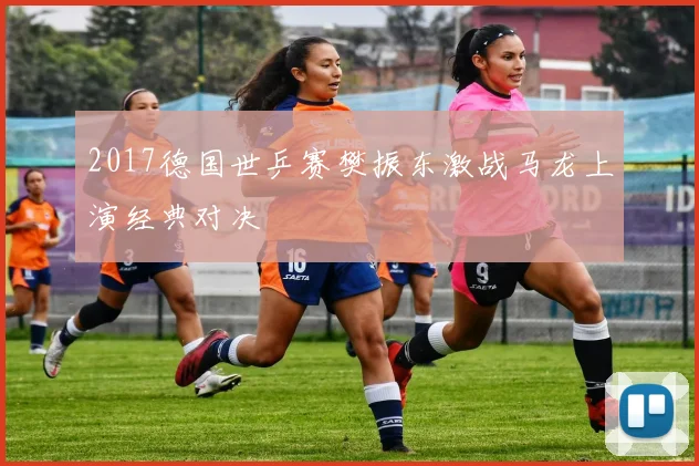 2017德国世乒赛樊振东激战马龙上演经典对决