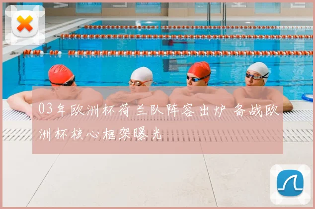 03年欧洲杯荷兰队阵容出炉 备战欧洲杯核心框架曝光
