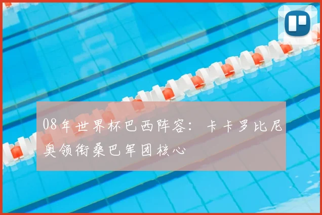 08年世界杯巴西阵容：卡卡罗比尼奥领衔桑巴军团核心