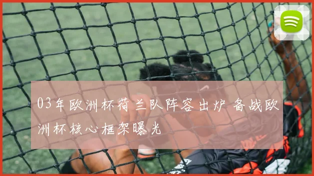 03年欧洲杯荷兰队阵容出炉 备战欧洲杯核心框架曝光