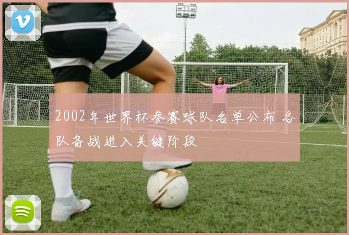 2002年世界杯参赛球队名单公布 各队备战进入关键阶段