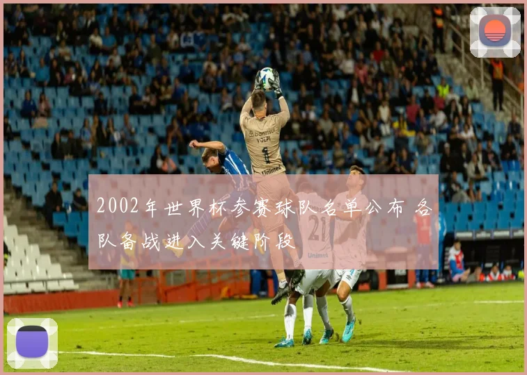 2002年世界杯参赛球队名单公布 各队备战进入关键阶段
