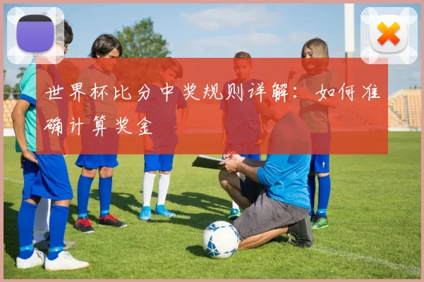 世界杯比分中奖规则详解：如何准确计算奖金